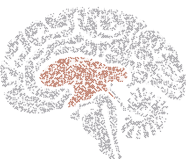 AI Intelligence brain illustration