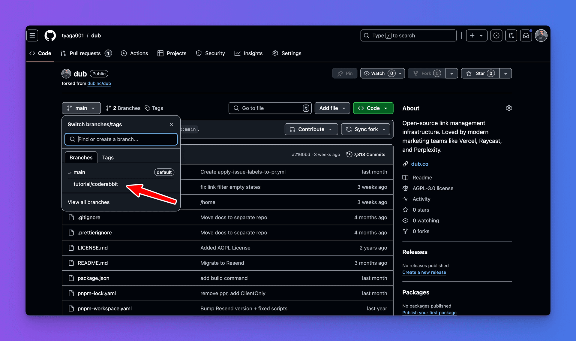 a GitHub repo showing branch selection with 'tutorial/coderabbit' highlighted.